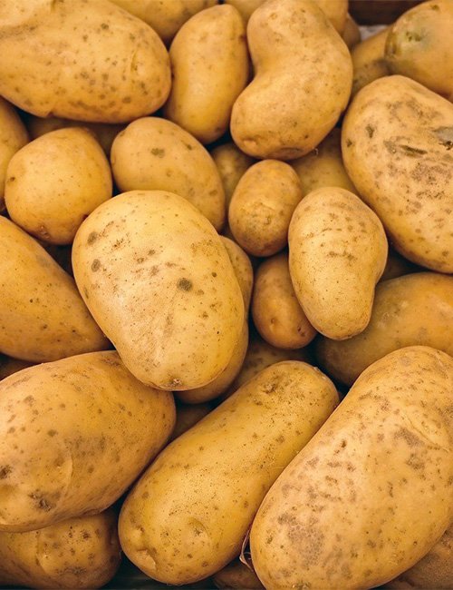 Maris Piper Potatoes.