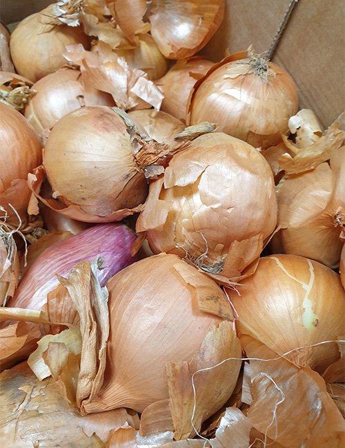 White Onions.
