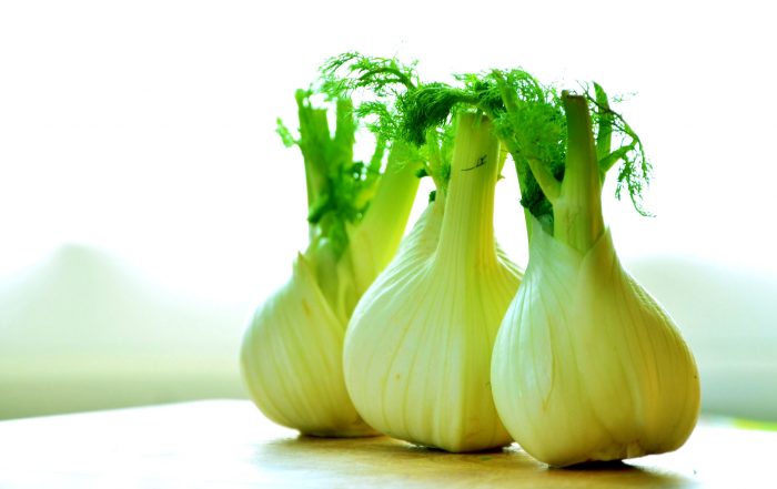 Fennel and Celery Soup